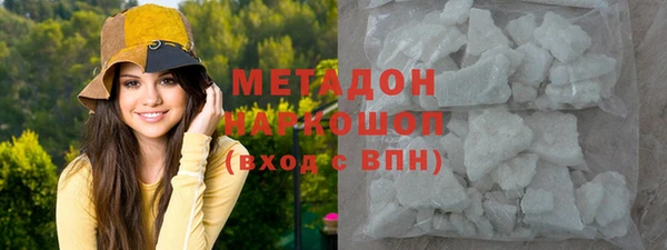 молекула духа Вяземский