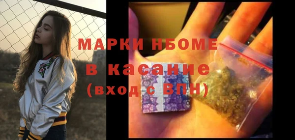 молекула духа Вяземский