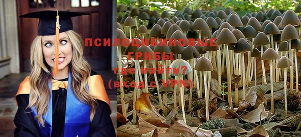 молекула духа Вяземский