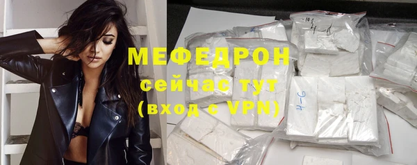 молекула духа Вяземский