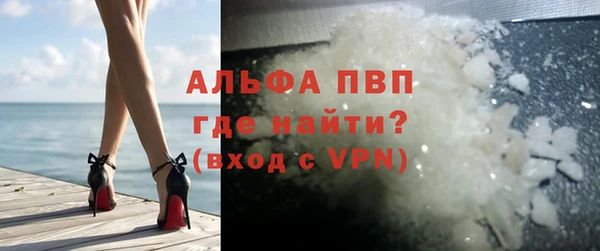 молекула духа Вяземский