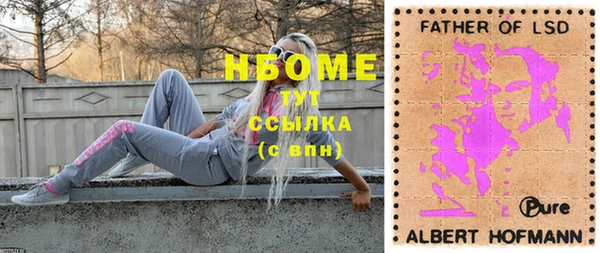 молекула духа Вяземский
