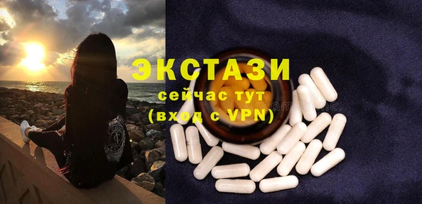 молекула духа Вяземский