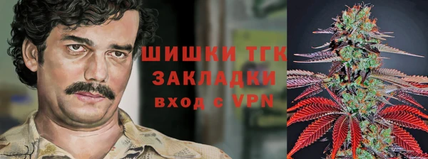 молекула духа Вяземский