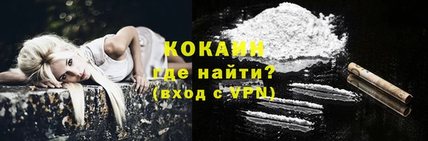 молекула духа Вяземский