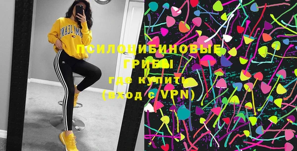 молекула духа Вяземский
