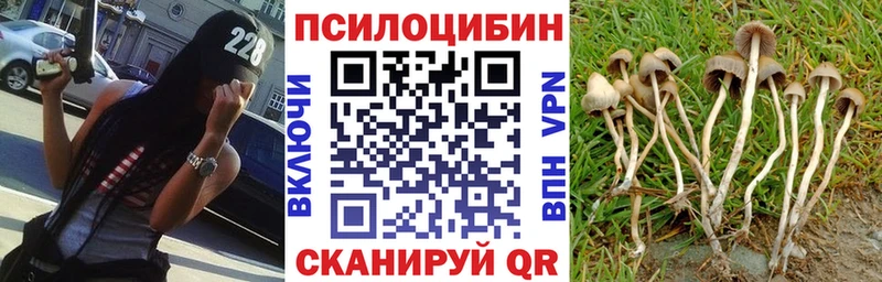 Псилоцибиновые грибы GOLDEN TEACHER  Купить  Полысаево 